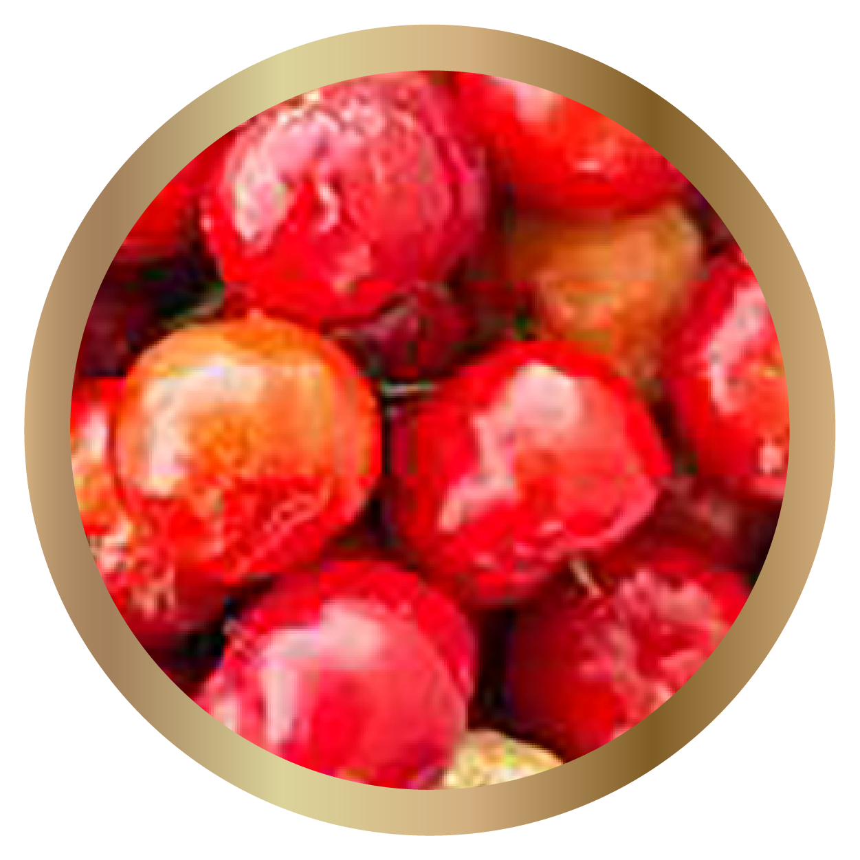 Acerola Cherry Extract (12% Vitamin C)