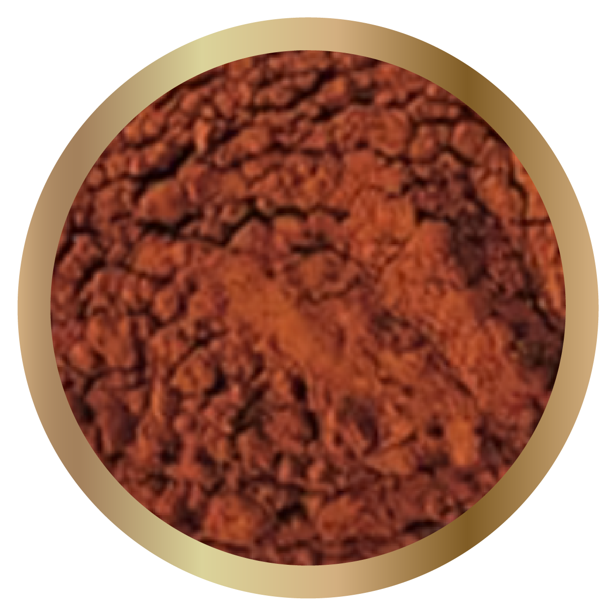 Pine Bark Extract (Pinus pinaster) (95% Proanthocyanidins)