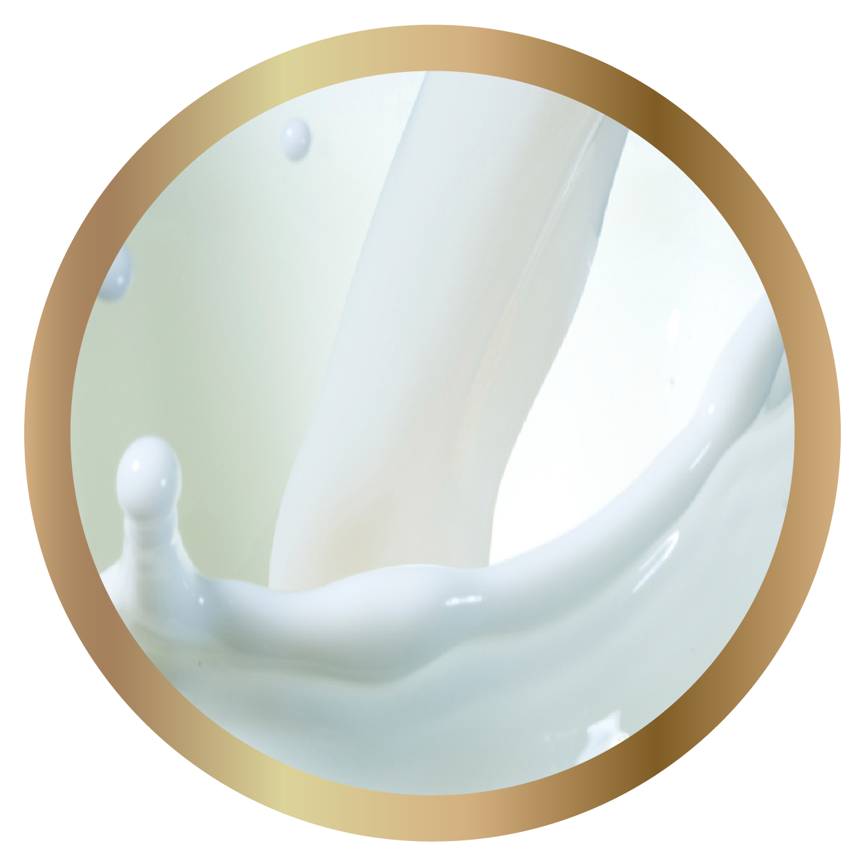 WPI90 (Whey Protein Isolate)