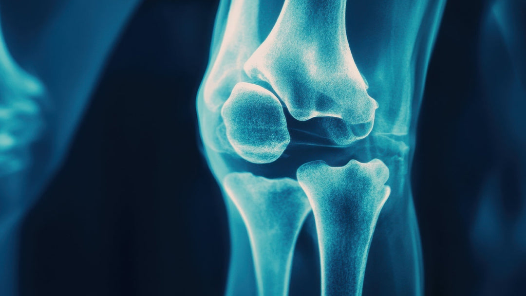 The Collagen Continuum: Why This Structural Protein Is Central to Longevity, Resilience, and Radiance&nbsp;